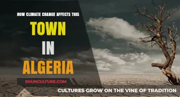 Algeria's Town in Crisis: Climate Change's Devastating Local Impact