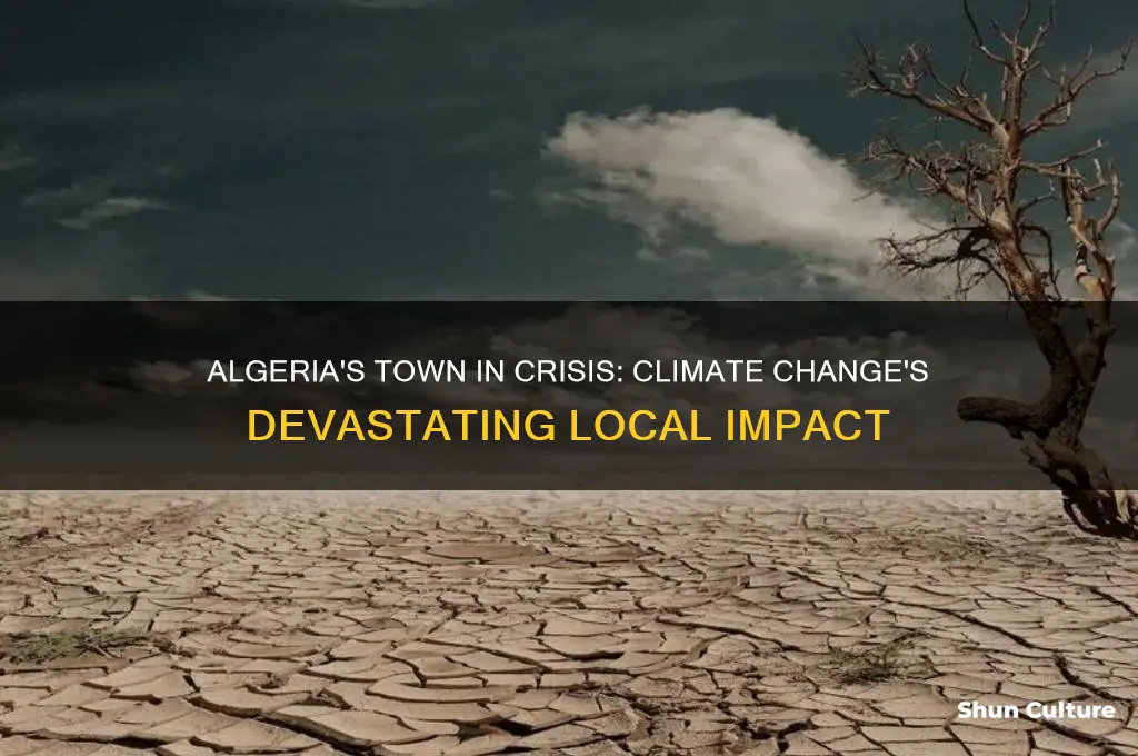 how climate change affects this town in algeria