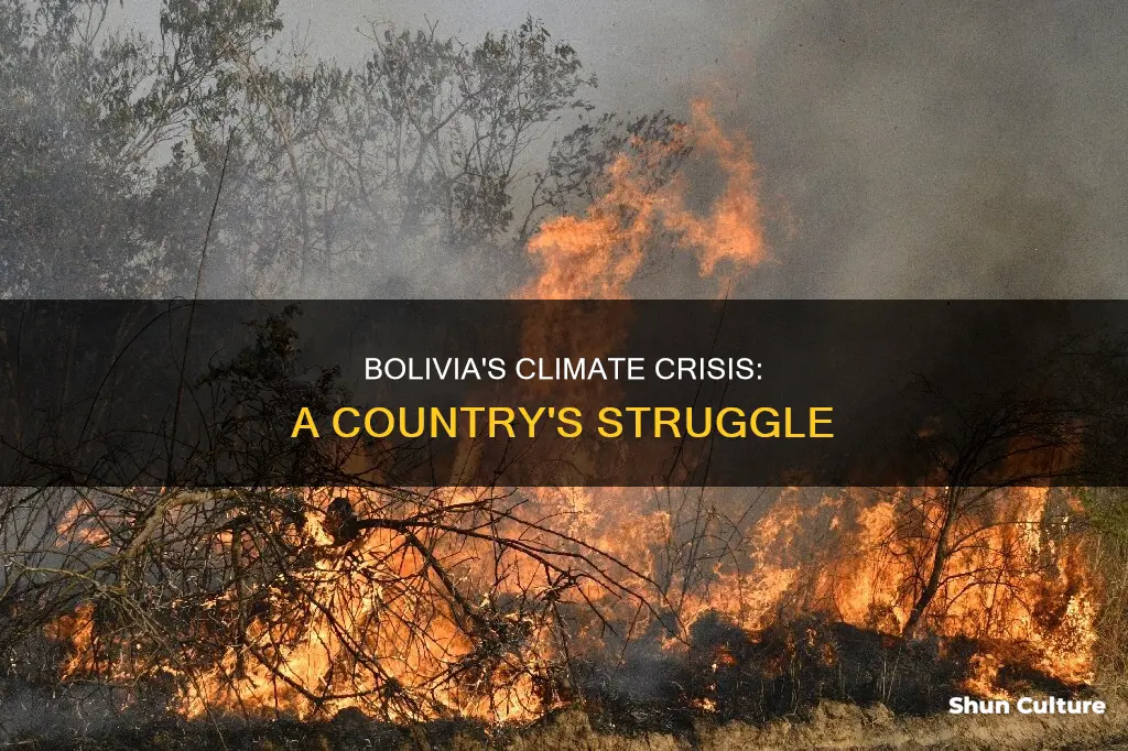 how climate change impacts bolivia