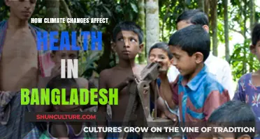 Climate Change Impacts on Bangladesh's Public Health: Challenges and Solutions