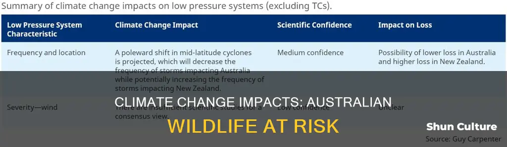 how climate chnge is affecting animals in australia