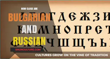 Exploring the Linguistic Bond: Bulgarian and Russian - How Close Are They?