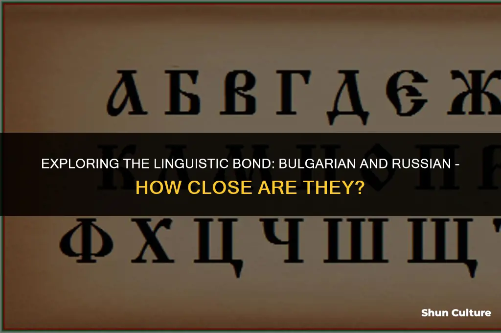 how close are bulgarian and russian
