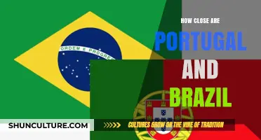 Portugal and Brazil: A Cultural and Historical Bond Across Oceans