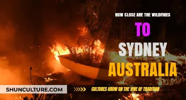Sydney Wildfires: Tracking the Distance and Potential Impact on the City