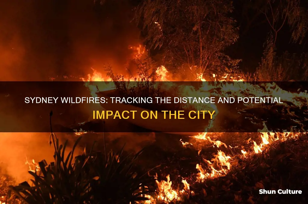 how close are the wildfires to sydney australia
