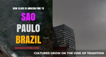 Amazon Rainforest Fires: How Close Are They to São Paulo, Brazil?