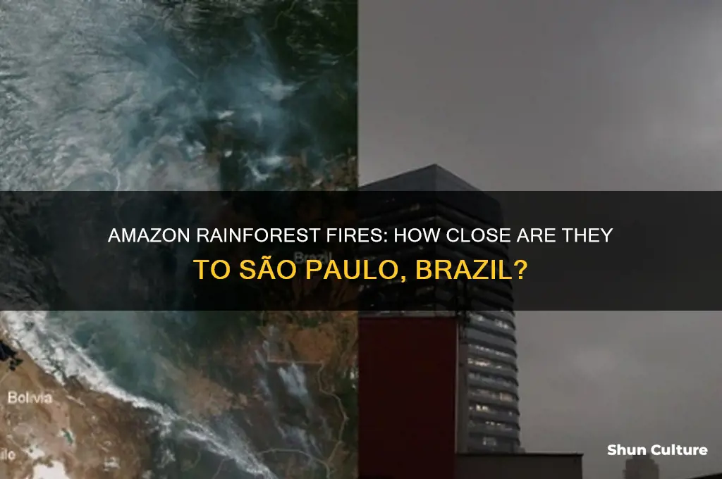 how close is amazon fire to sao paulo brazil