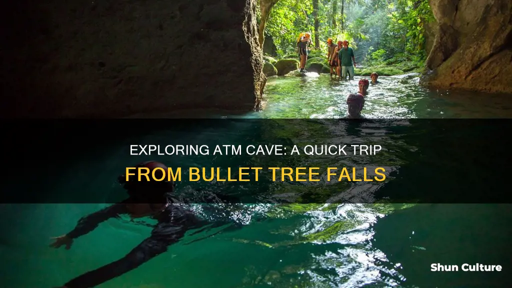 how close is atm cave to bullet tree falls belize