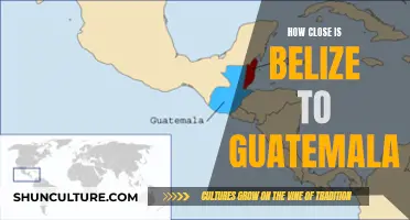 Belize and Guatemala: Neighbors or More?