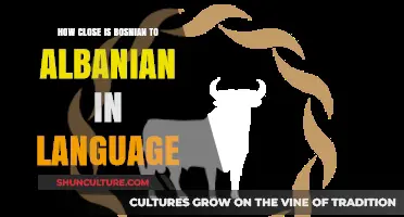 Bosnian vs. Albanian: Unraveling Linguistic Similarities and Differences