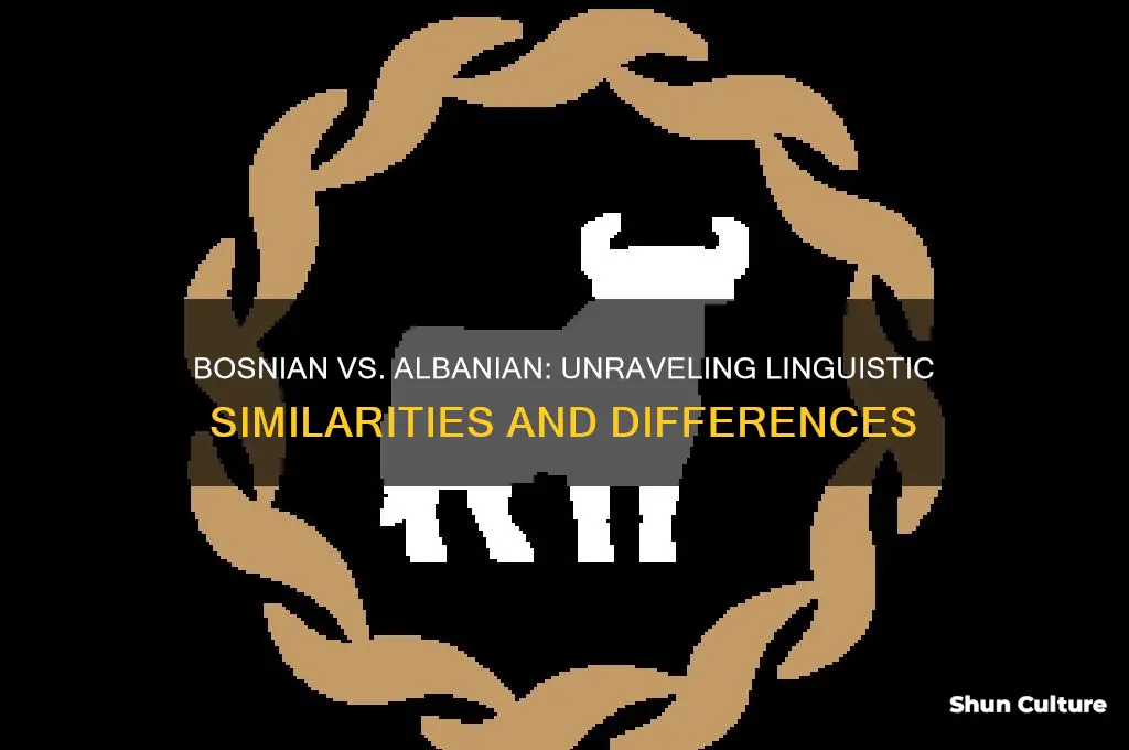 how close is bosnian to albanian in language