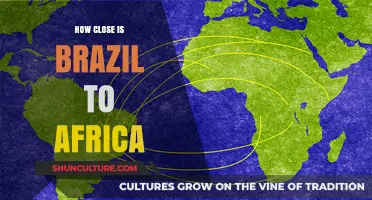 Brazil and Africa: Surprising Proximity Across the Atlantic Ocean