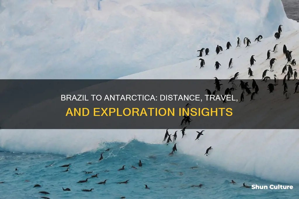 how close is brazil to anatartica