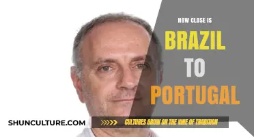 Brazil and Portugal: Cultural Ties and Geographic Distance Explored