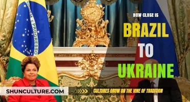Brazil and Ukraine: Exploring Their Political, Economic, and Cultural Ties
