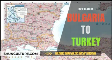 Exploring Proximity: Bulgaria and Turkey's Cross-Cultural Connection