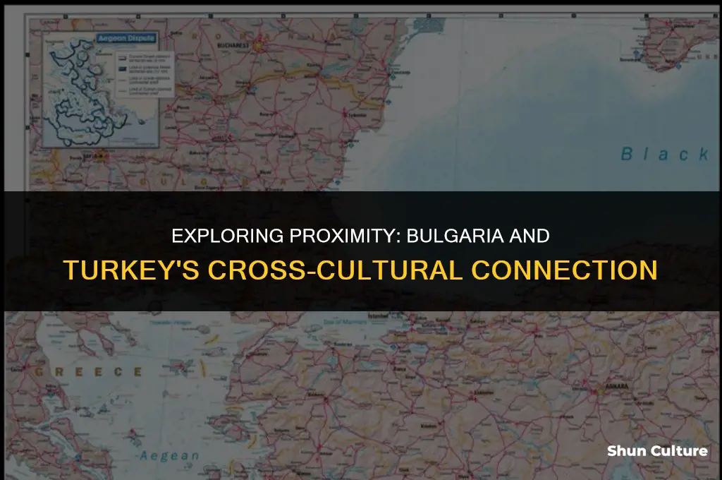 how close is bulgaria to turkey