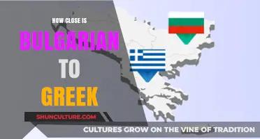 Exploring the Linguistic Proximity: Bulgarian and Greek Compared