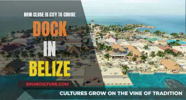 Cruise Dock to Belize City: How Far?