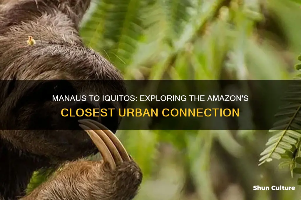 how close is manaus brazil yo iquitos pery