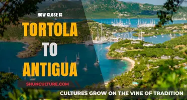 Tortola to Antigua: Distance, Travel Time, and Best Routes Explained
