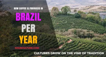 Brazil's Annual Coffee Production: From Bean to Cup Process Explained