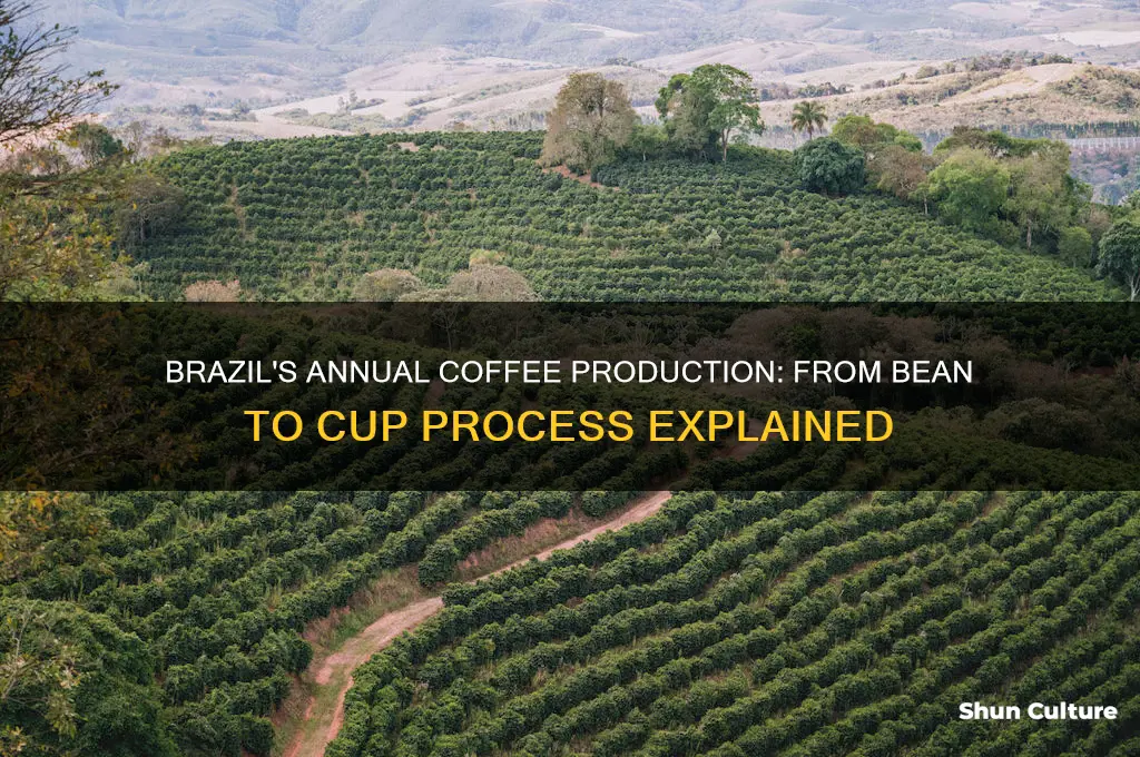 how coffee is produced in brazil per year