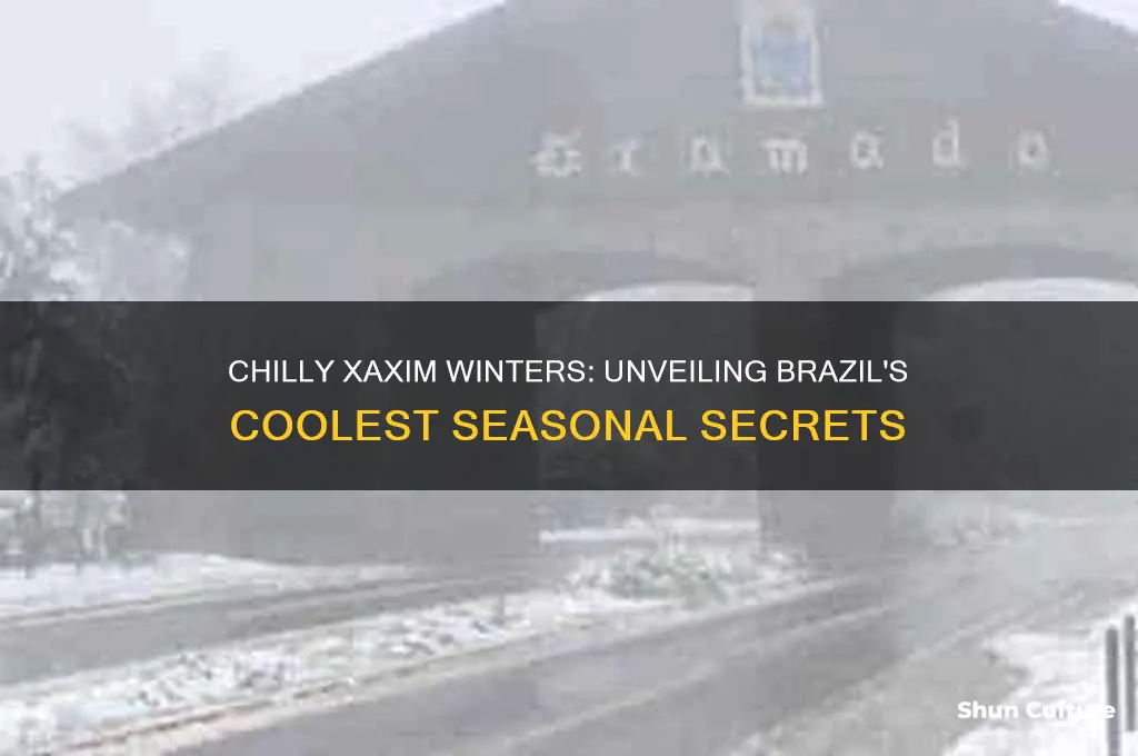 how cold are winters in xaxim brazil