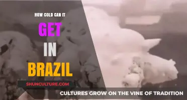 Brazil's Chilling Extremes: Exploring the Country's Lowest Temperatures