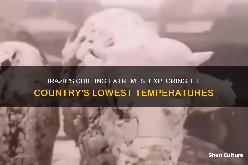 how cold can it get in brazil
