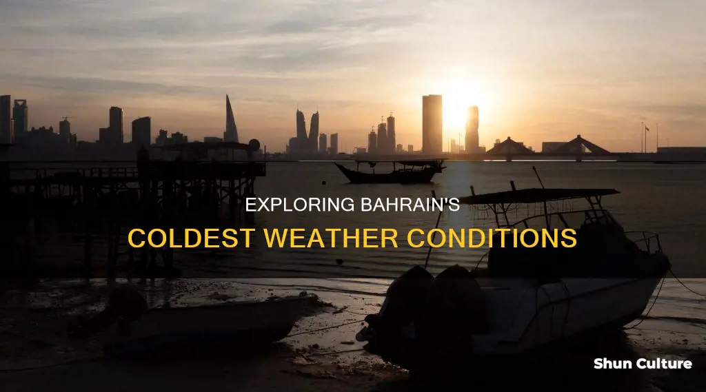 how cold does bahrain get