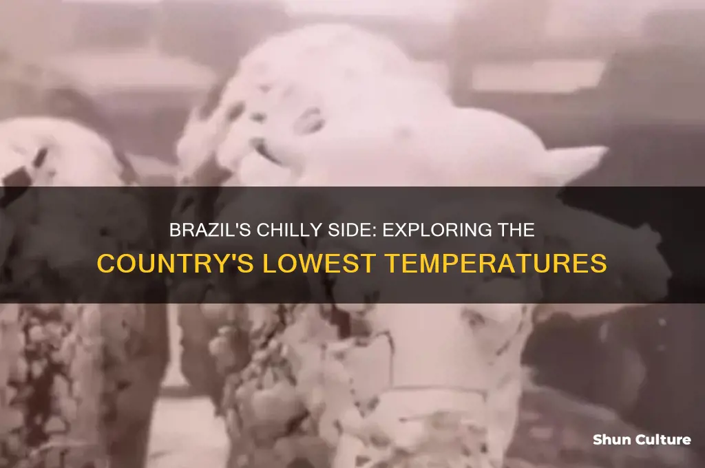 how cold does brazil get