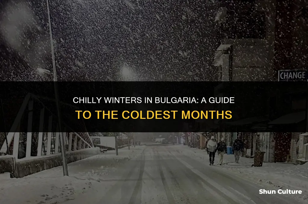 how cold does bulgaria get in winter