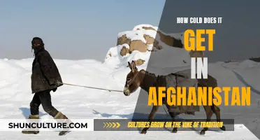 The Bitter Cold of Afghanistan's Winters: A Chilling Reality