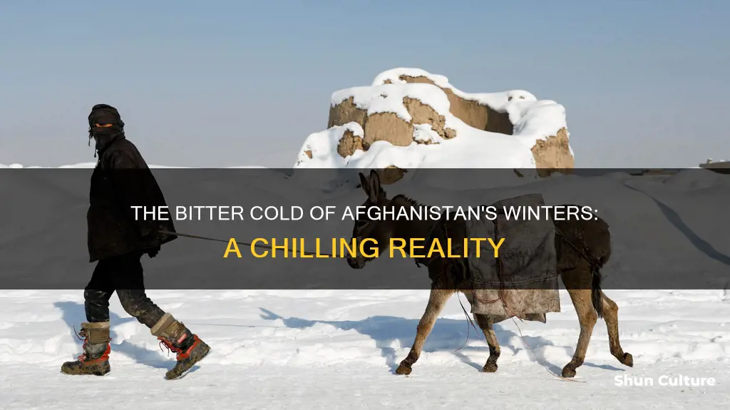 how cold does it get in afghanistan