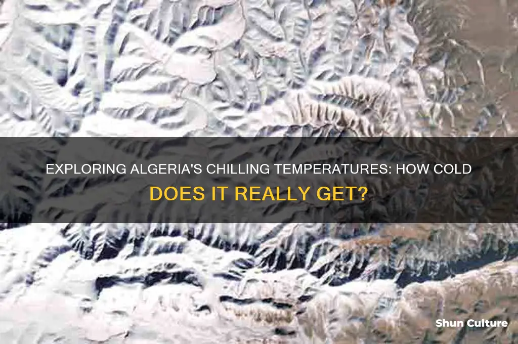 how cold does it get in algeria