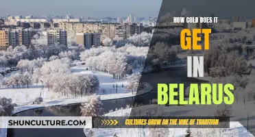 Freezing Belarus: Exploring the Country's Coldest Temperatures