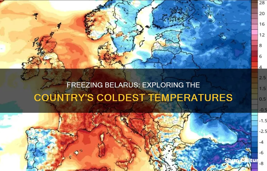 how cold does it get in belarus