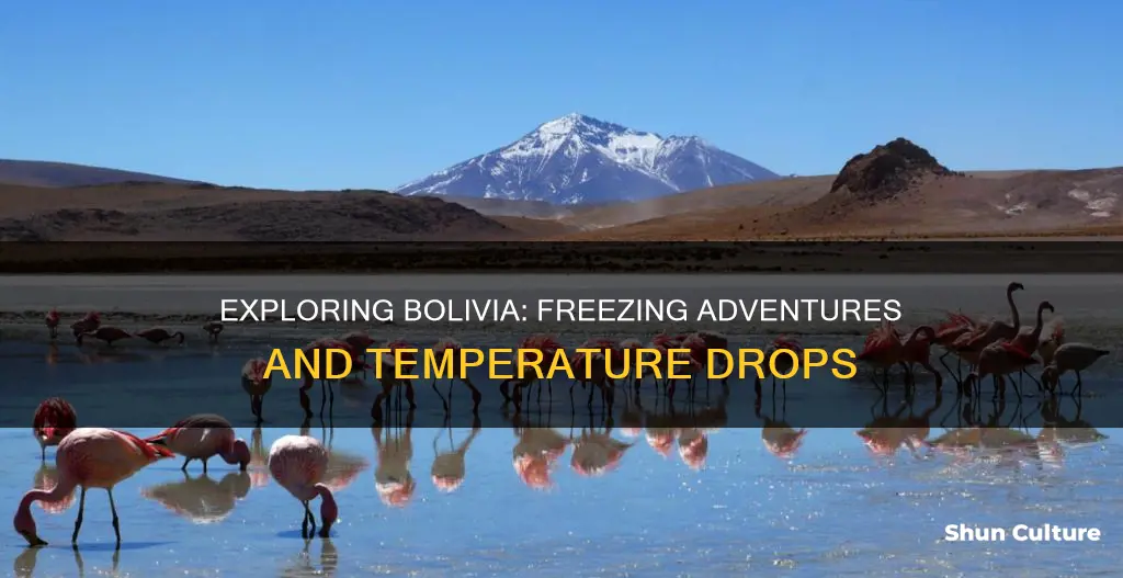 how cold does it get in bolivia