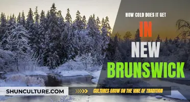 The Chilling Truth About New Brunswick's Winters