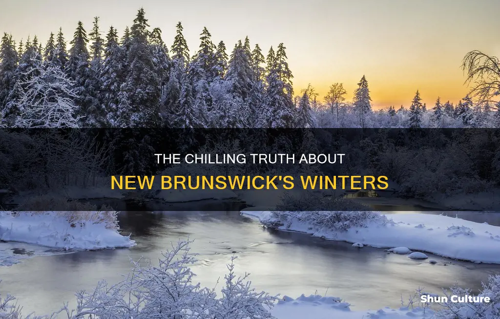 how cold does it get in new brunswick