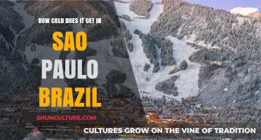Chilly in São Paulo: Exploring Brazil's Winter Temperatures and Climate