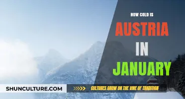 Chilly Adventures: Exploring Austria's January Climate