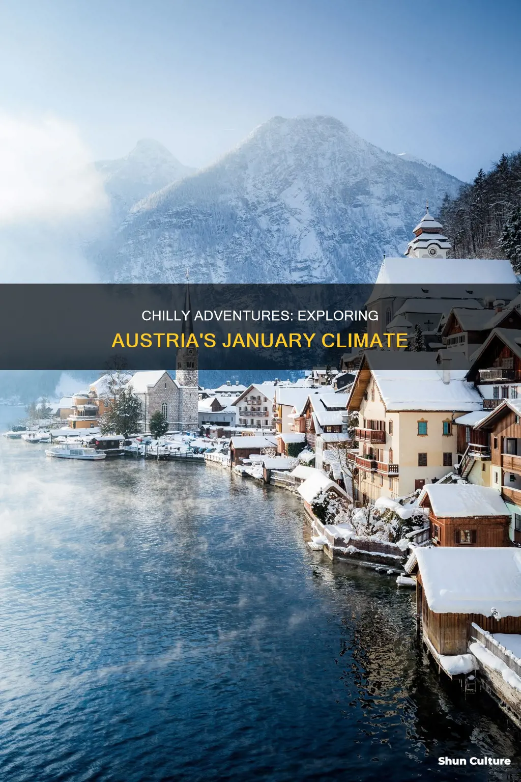 how cold is austria in january