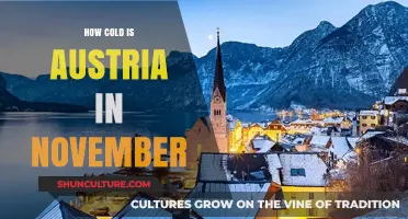 Chilly November in Austria: A Temperature Guide