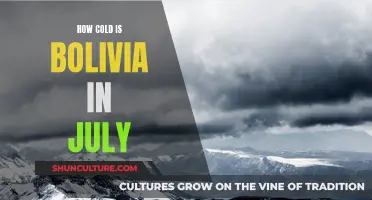 Exploring Bolivia's Frigid July Weather