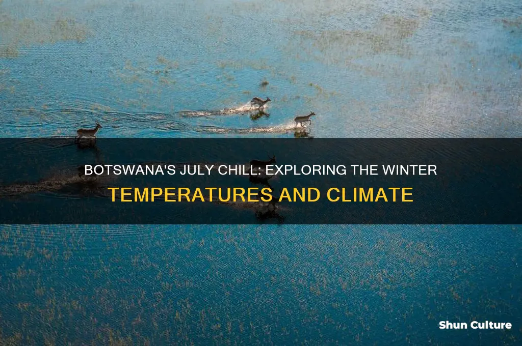 how cold is botswana in july
