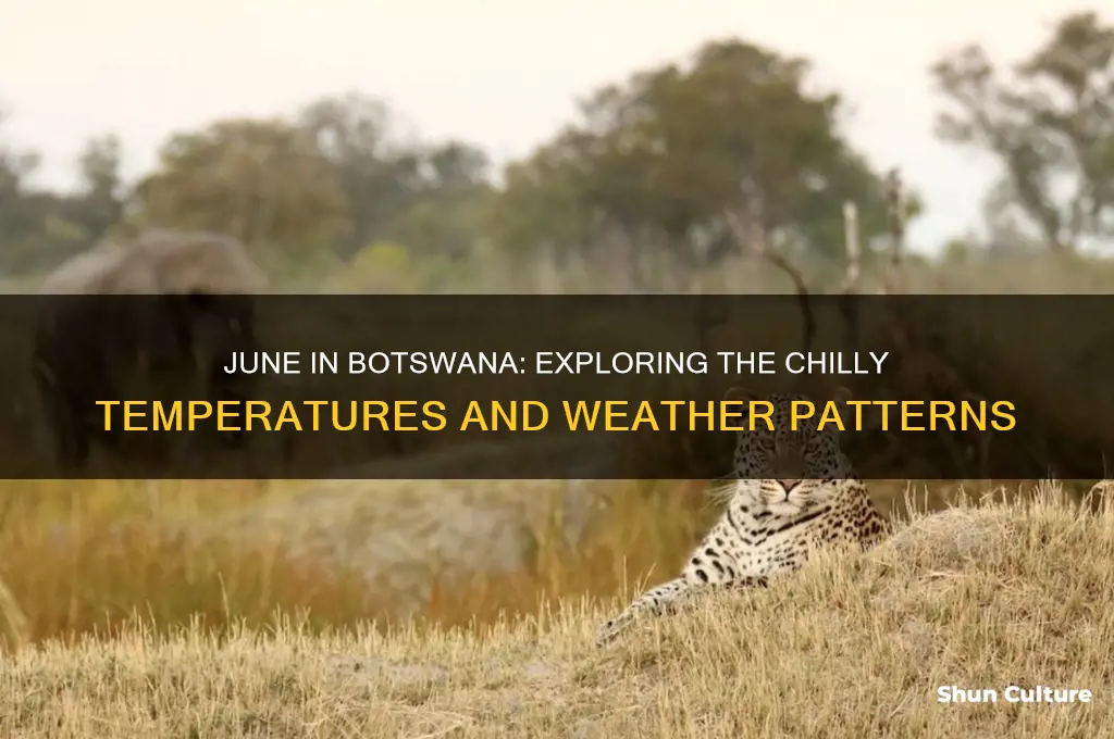 how cold is it in botswana in june