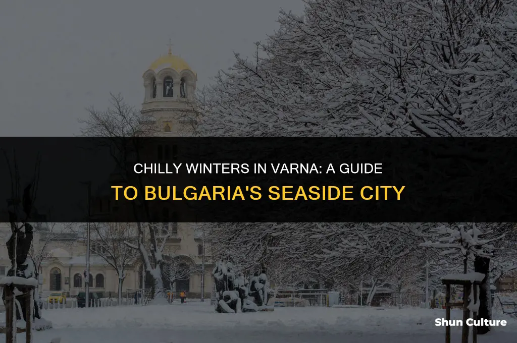how cold is it in varnos bulgaria in the winter